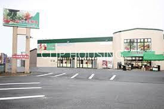 スーパー生鮮館TAIGA海老名下今泉店 徒歩9分。 720m