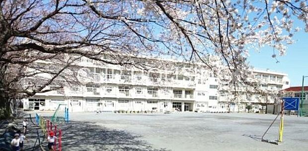 横浜市立瀬谷さくら小学校 徒歩9分。 660m