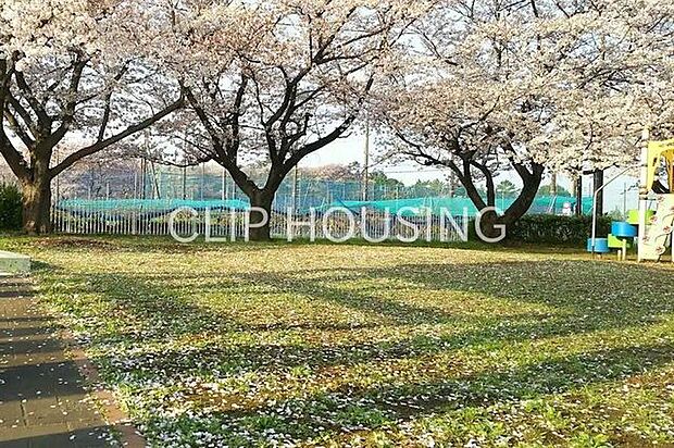 鶴ヶ丘公園 徒歩17分。 1320m