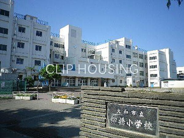 大和市立柳橋小学校 徒歩10分。 770m