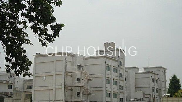 大和市立南林間小学校 徒歩4分。 260m