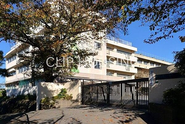 海老名市立海老名小学校 徒歩13分。 990m
