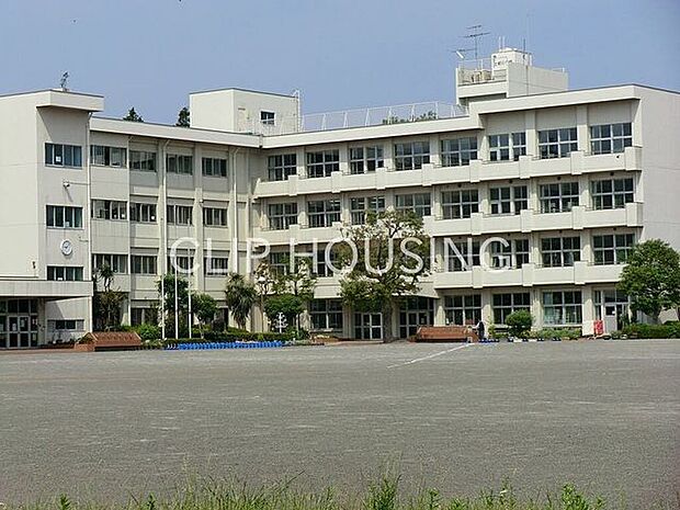 綾瀬市立綾南小学校 徒歩12分。 920m