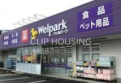 ウェルパーク海老名かしわ台店 徒歩12分。 890m