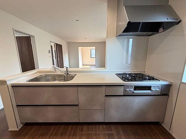 ジャンボシンク、浄水器内蔵型ハンドシャワー、浅型レンジフード等搭載で使いやすいシステムキッチン！