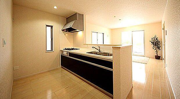 空間を最大限に生かす5つの引出し付き！汚れにくいFJシンクには浄水器内蔵ハンドシャワー完備！