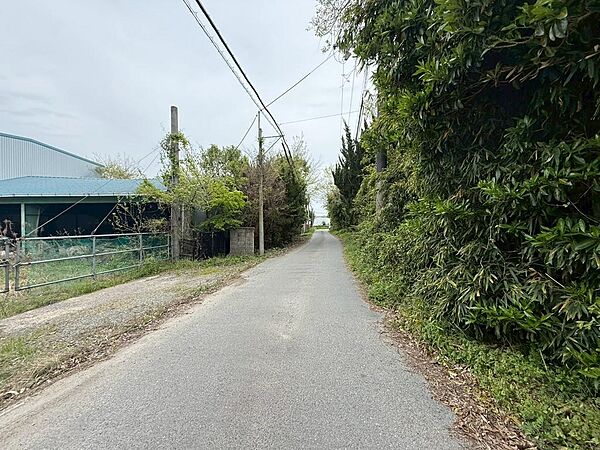 前面道路　幅員約４ｍ～5ｍ