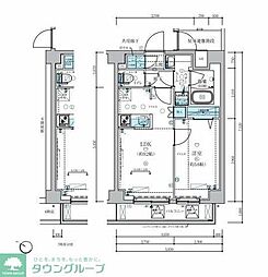 メインステージ板橋志村III 3階1LDKの間取り