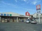 ウエルシア坂戸南町店 583m