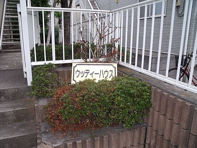 6 / 19