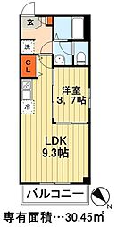 IVORY 1LDKの間取図画像