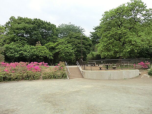 渋沢金井公園