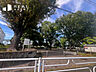 周辺：長津田柳下公園
