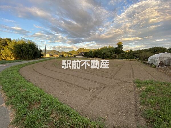 外観：340000299838