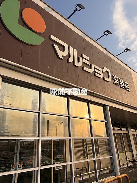 マルショク来春店