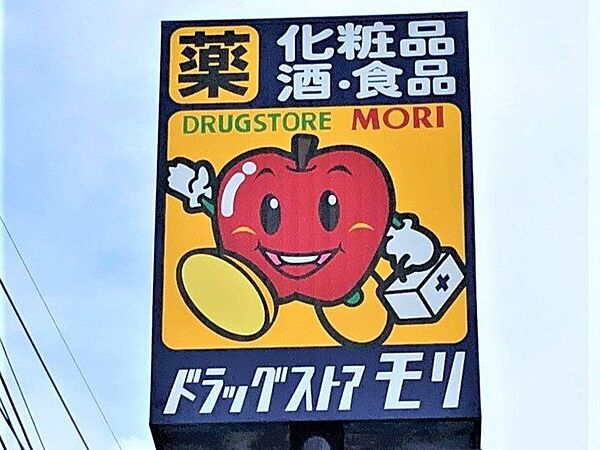 ドラッグストアモリ美しが丘店まで1100m　徒歩約14分　営業時間：9時～24時。駐車台数：32台　深夜まで営業しているので便利です。