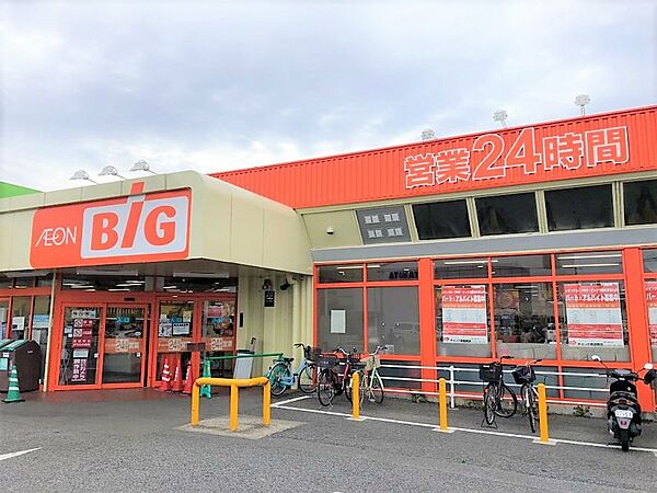 ザ・ビッグ南福岡店まで　800m　徒歩約10分