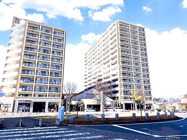 外観：341000024991