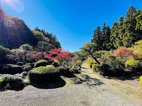 合計約810坪の敷地！
