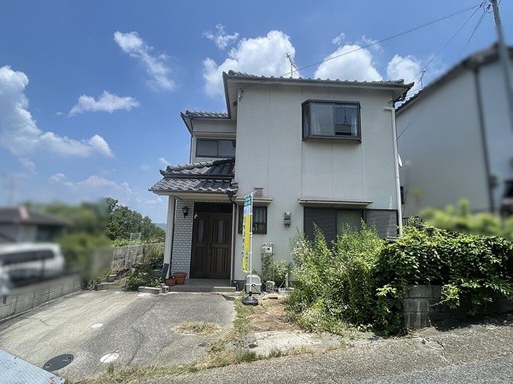 Image 20