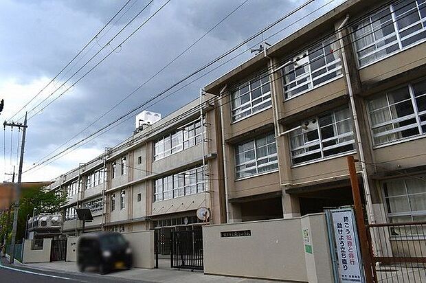 枚方市立桜丘小学校 600m