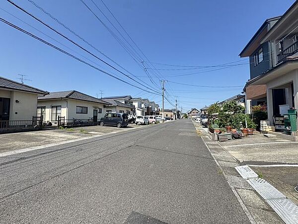 2025年5月撮影