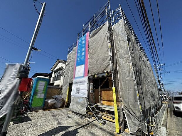 2026年2月撮影