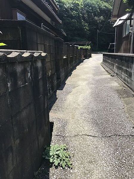 2026年6月撮影