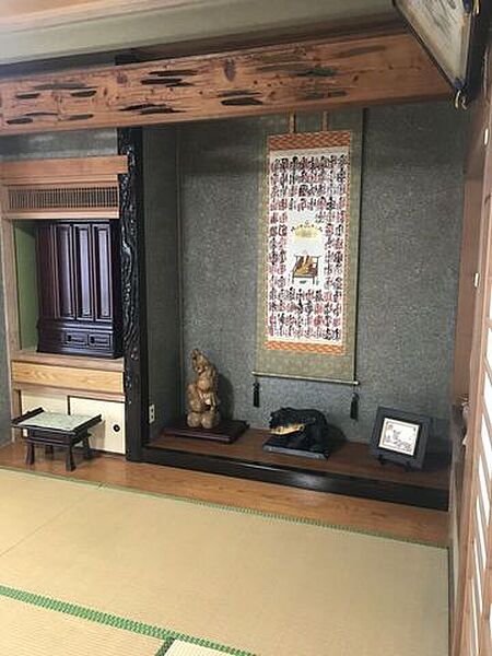2026年6月撮影