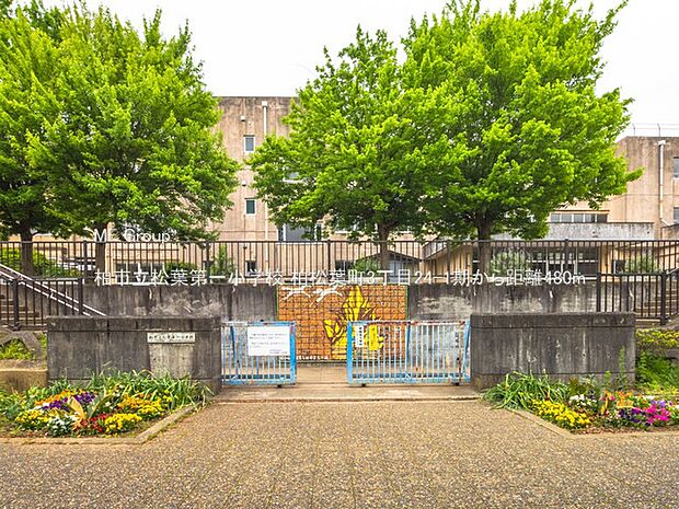 小学校 480m 柏市立松葉第一小学校