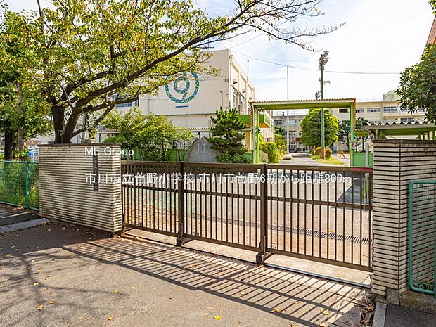 小学校 800m 市川市立菅野小学校