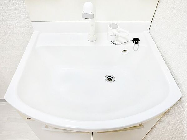 ハンドシャワー付き！使いやすい洗面台。