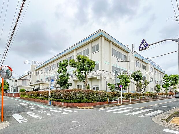 小学校 300m 江戸川区立上小岩小学校