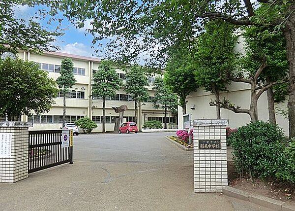 中学校 890m 千葉市立稲毛中学校