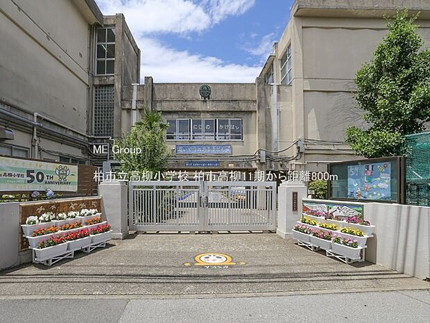 小学校 800m 柏市立高柳小学校