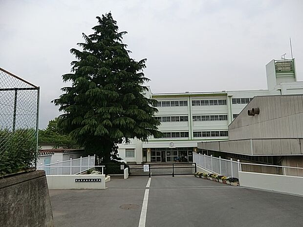 小学校 200m 流山市立向小金小学校