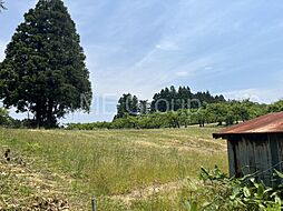 山形県鶴岡市羽黒町川代字川代山