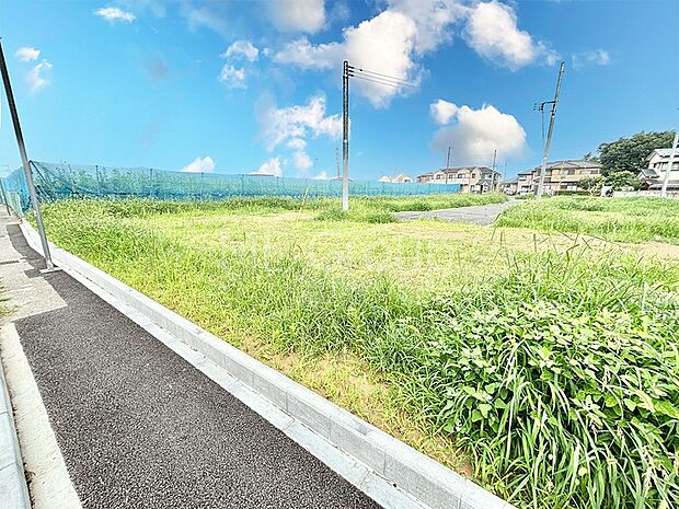 陽光に包まれる家族の日常風景を心ゆくまで