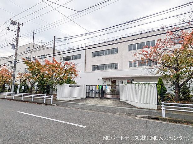 小学校 250m 浦安市立南小学校