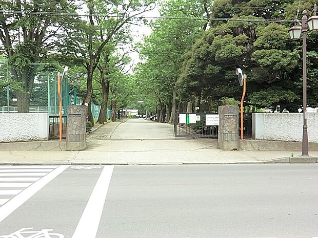 中学校 1200m 柏市立柏中学校