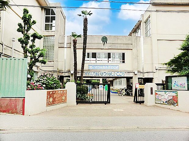 小学校 800m 柏市立高柳小学校