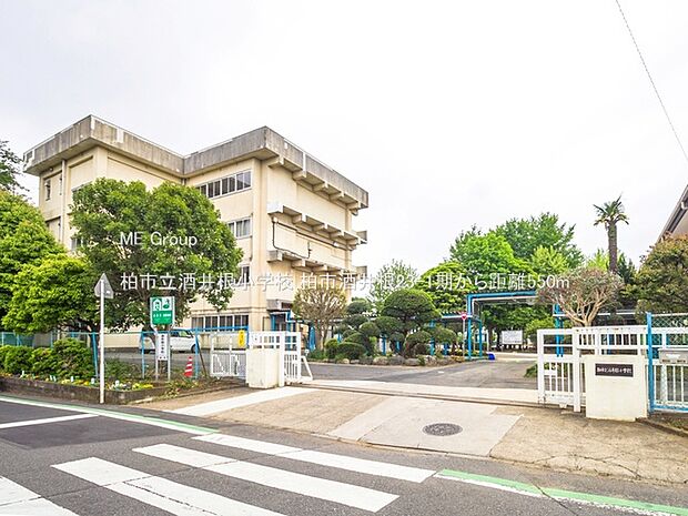 小学校 550m 柏市立酒井根小学校