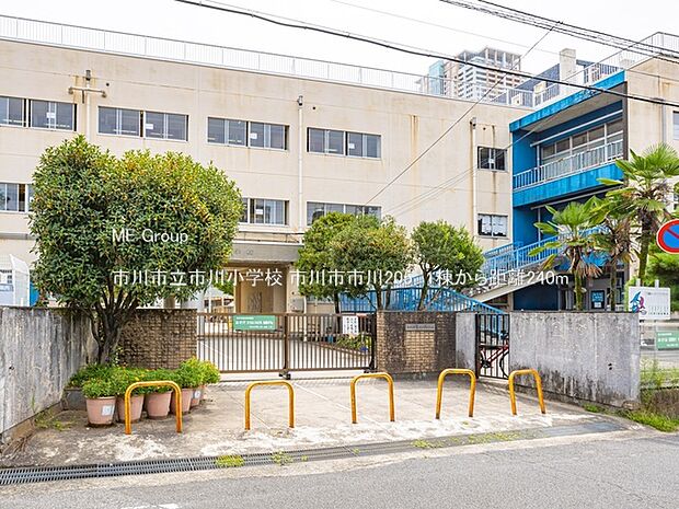 小学校 240m 市川市立市川小学校
