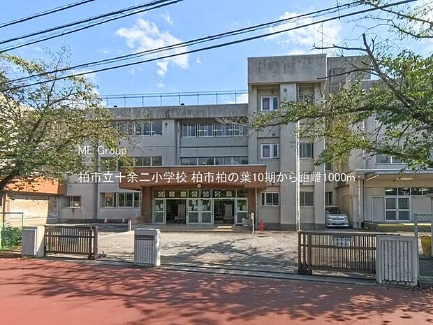 小学校 1000m 柏市立十余二小学校