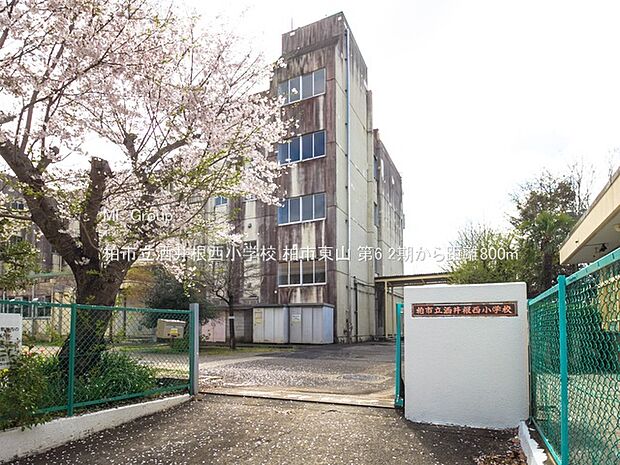 小学校 800m 柏市立酒井根西小学校