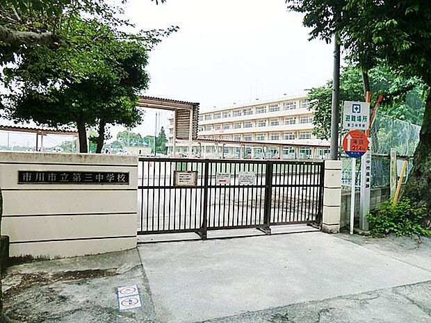 中学校 800m 市川市立第三中学校