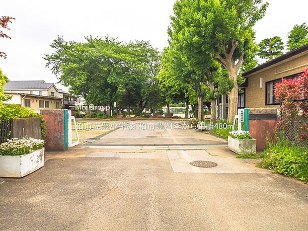 小学校 480m 柏市立豊小学校