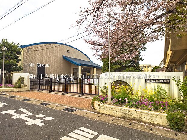 小学校 600m 流山市立新川小学校