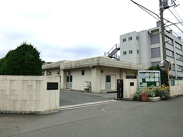 中学校 1500m 柏市立柏第二中学校