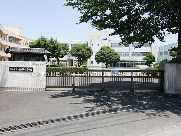 小学校 1200m 佐倉市立根郷小学校